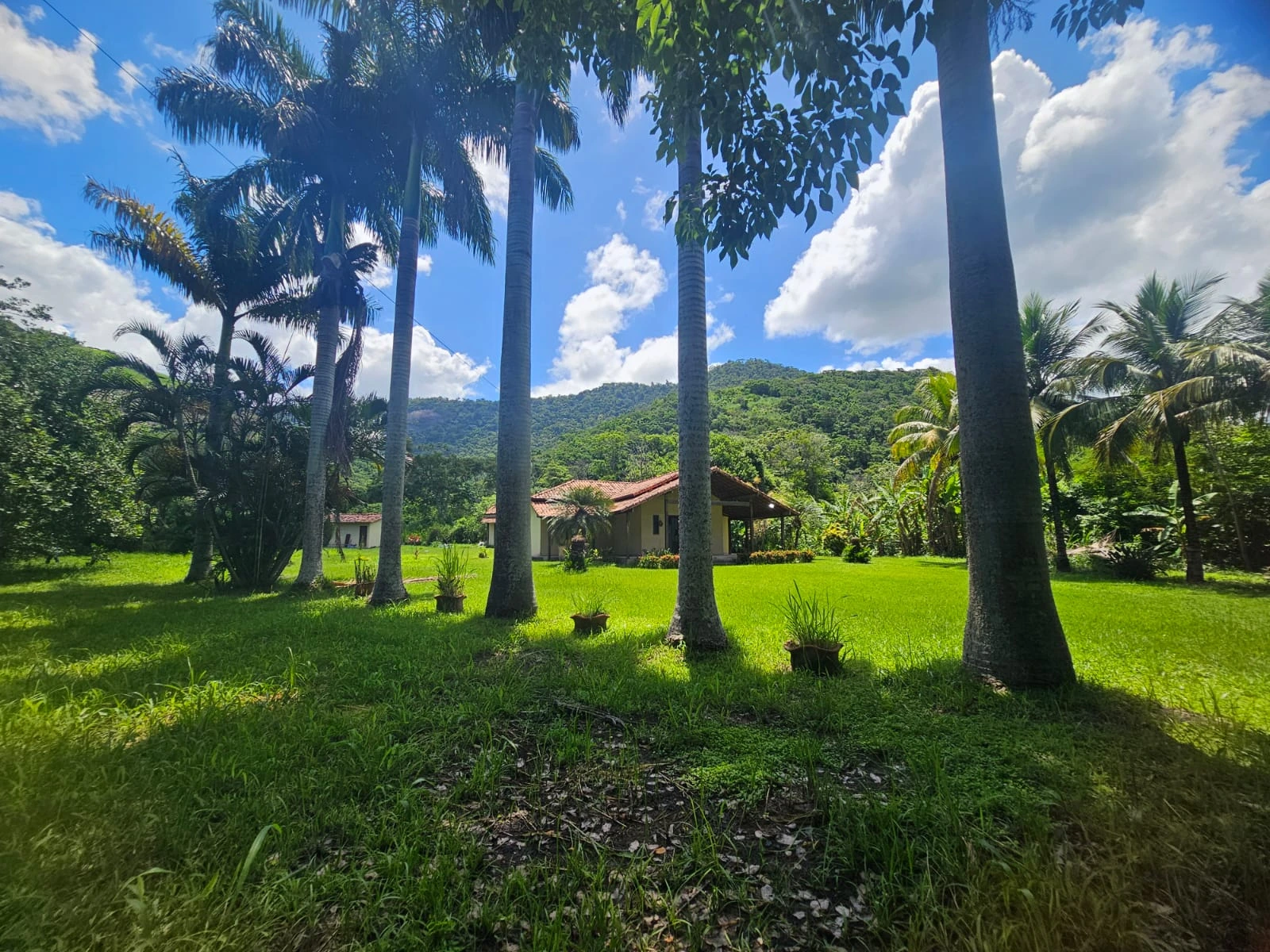 Recepção e estrutura